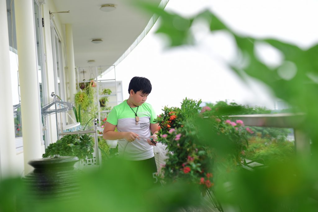 Nhiều cư dân tại Phú Mỹ Hưng đã tranh thủ thời gian giãn cách để chăm chút khu vườn nhỏ của mình, tô điểm không gian sống thêm thơ thêm tình và cùng chủ đầu tư “dệt” nên những mảng xanh trong lòng phố.
