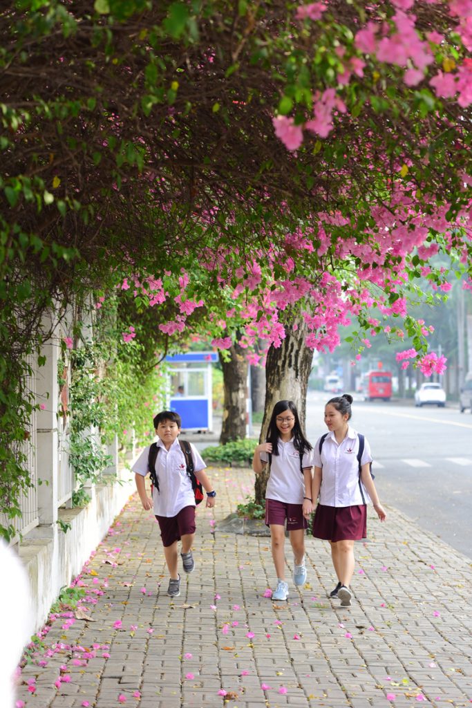 Các cư dân nhí của Phú Mỹ Hưng cảm nhận rõ rệt sự tiện lợi khi trường học gần nhà, trong khoảng cách đi bộ. Trên những con đường rợp bóng cây như thế này câu chuyện trường lớp trở nên rộn rã hơn.