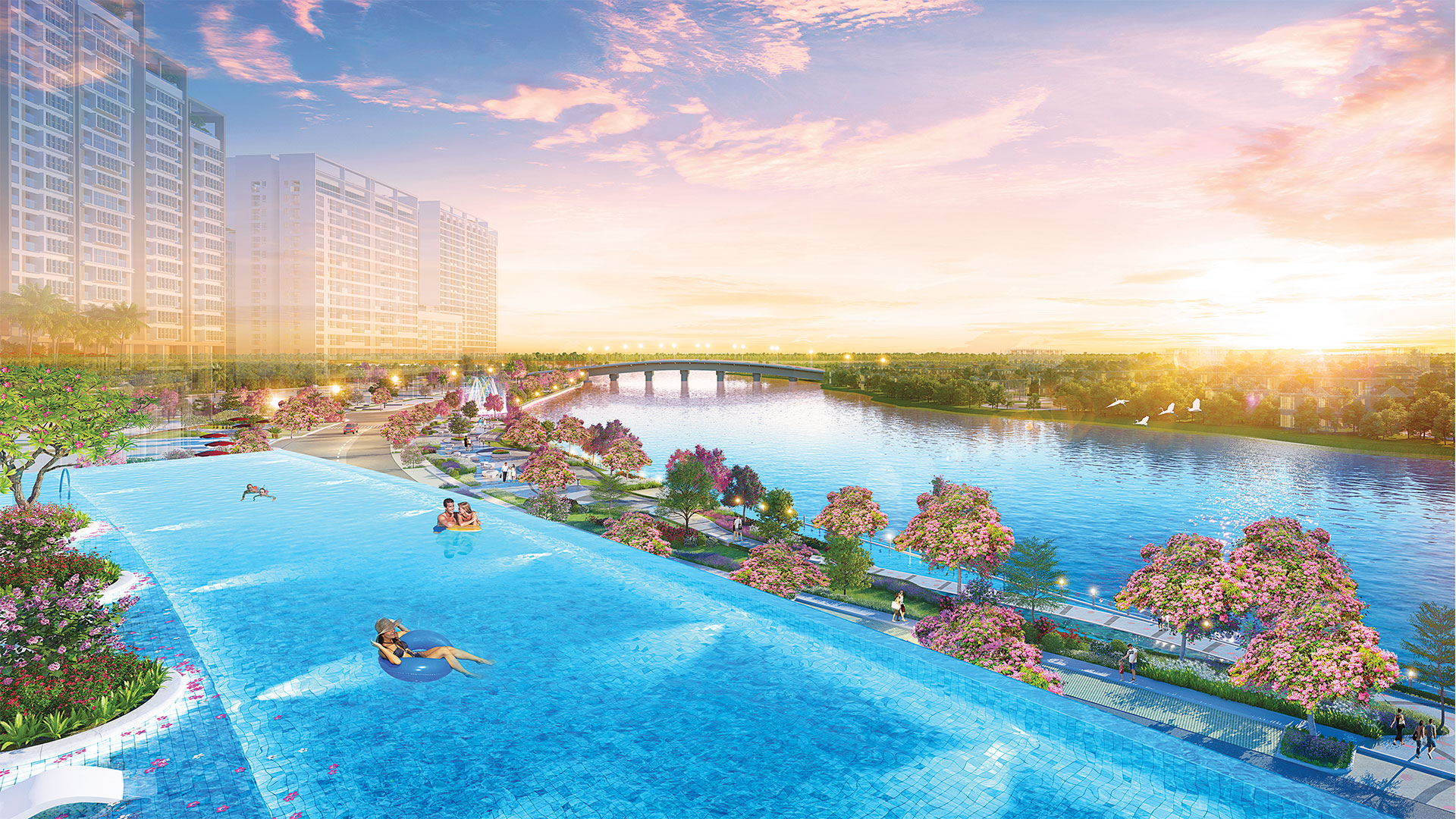 hồ bơi midtown the peak